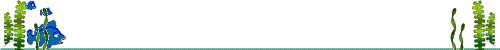 anifishbar.gif