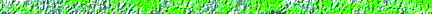 bar_43.gif